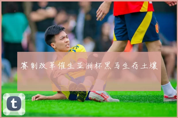 赛制改革催生亚洲杯黑马生存土壤