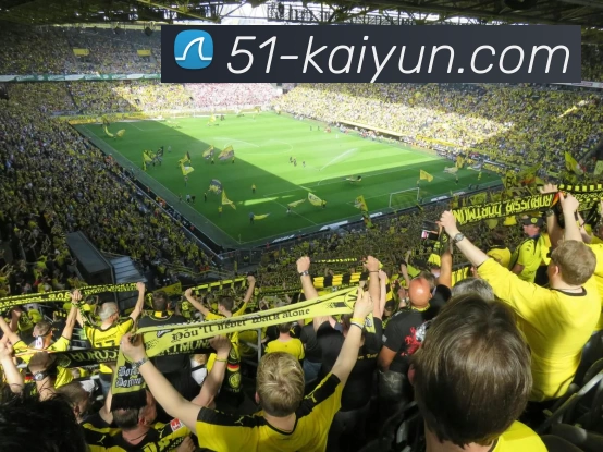 开云kaiyunAPP 体育赛事宣传图